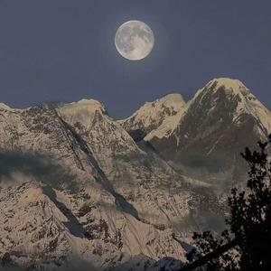 公交偷拍奶头真空凸视频
