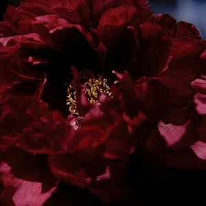 公交偷拍奶头真空凸视频
